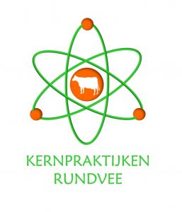 logo kernpraktijken (Medium)